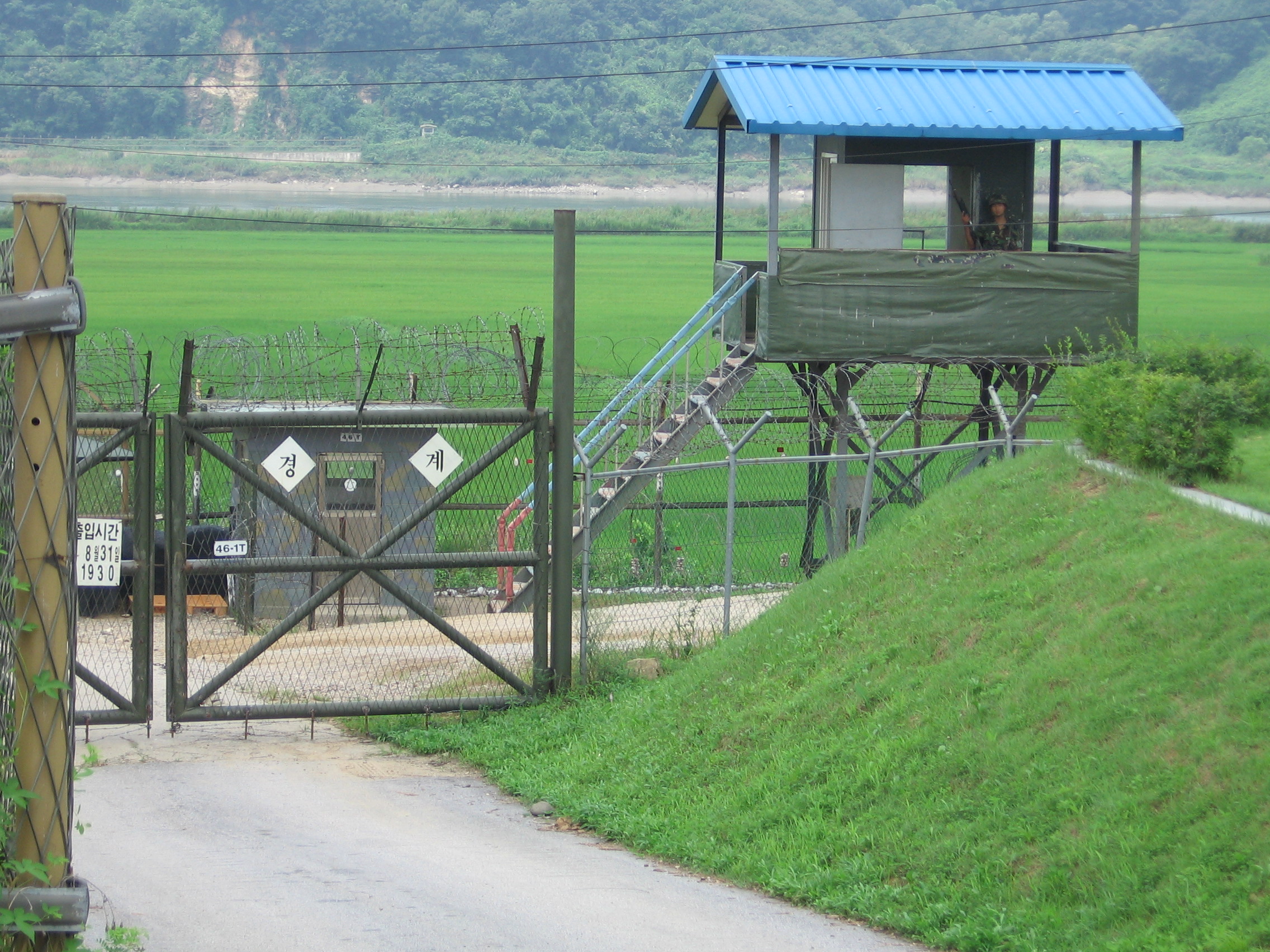 Zona Demiliterisasi Korea Kini Berubah Jadi Surga Satwa Liar