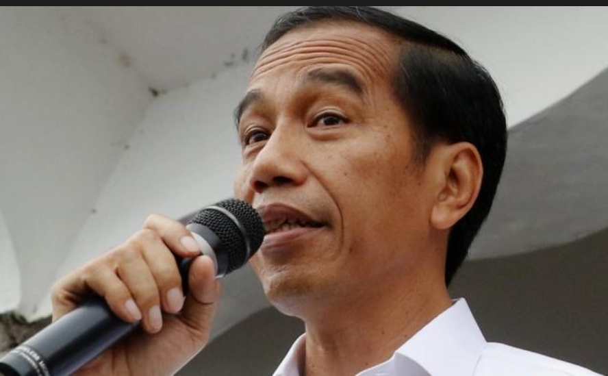 9 Juli, Presiden Jokowi Diagendakan Kunjungi Lokasi Food Estate di Kabupaten Kapuas dan Pulang Pisau. 
