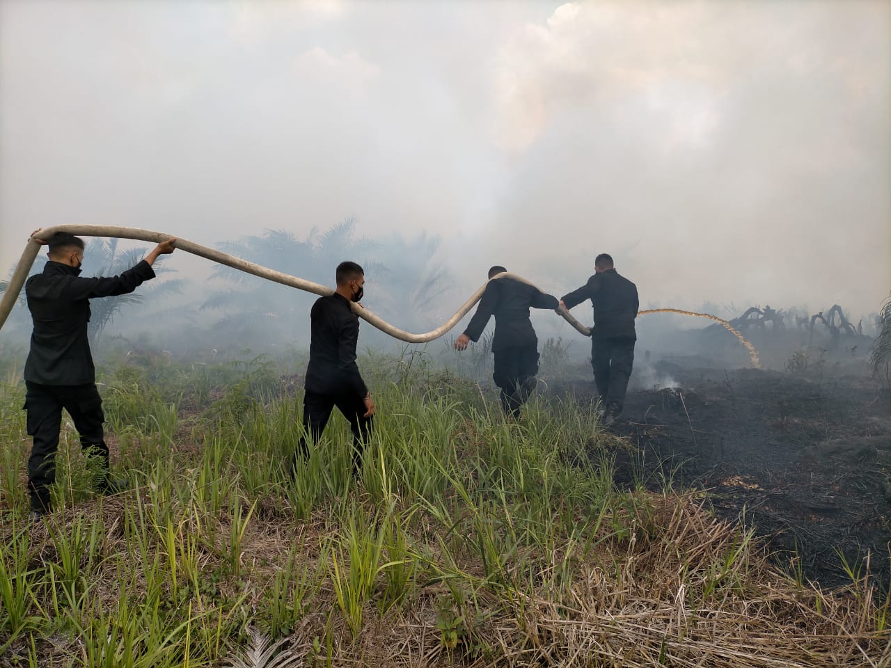 Brimob Polda Kalteng Bantu Padamkan Kebakaran Lahan di Kobar
