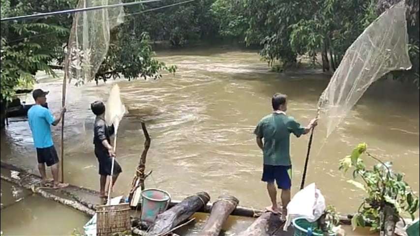 Banjir Mulai Surut, Saatnya Warga Katingan Panen Ikan