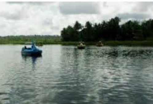 Pemkab Barsel Akan Tebar 20 Ribu Bibit Ikan Lokal di Danau Malawen