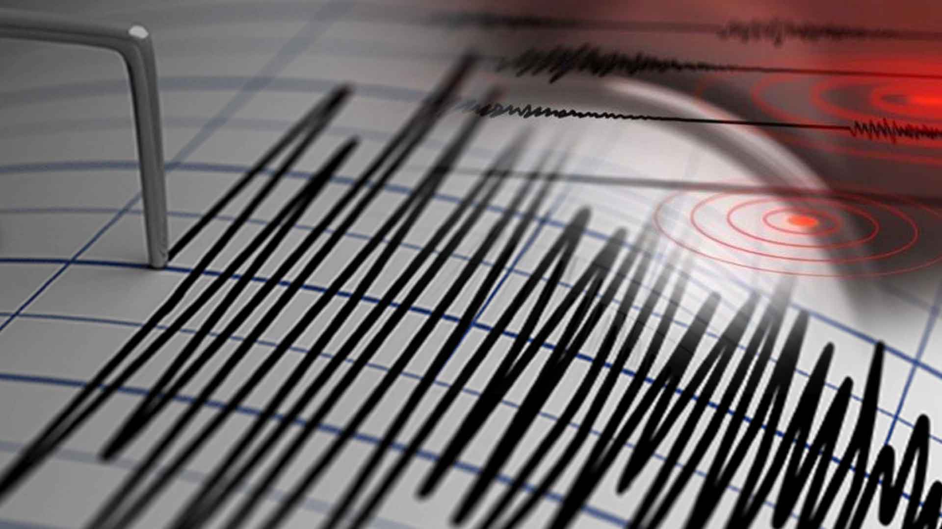 Gempa Magnitudo 3,1 Guncang Jayapura
